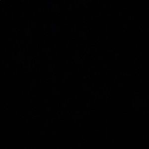 Meet your Posher, Dylan